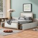 preview thumbnail 1 of 1, Full Size Upholstered Platform Bed with Nailhead Decoration and Drawers Brown - Full