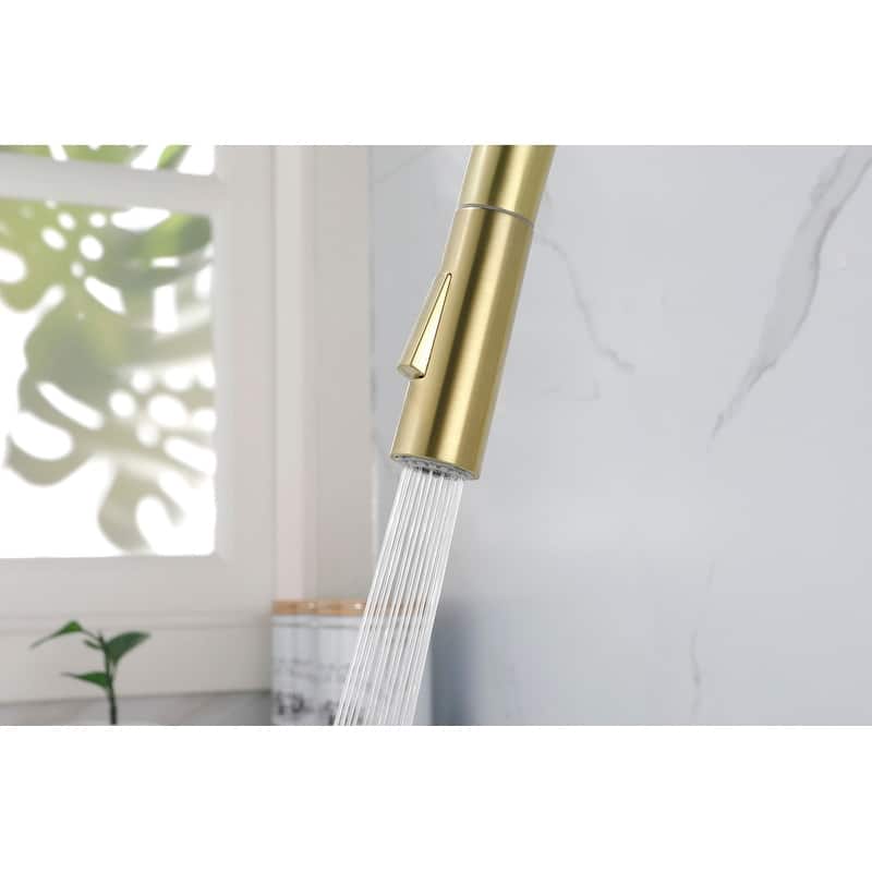 Kitchen Faucet with Pull Down Sprayer