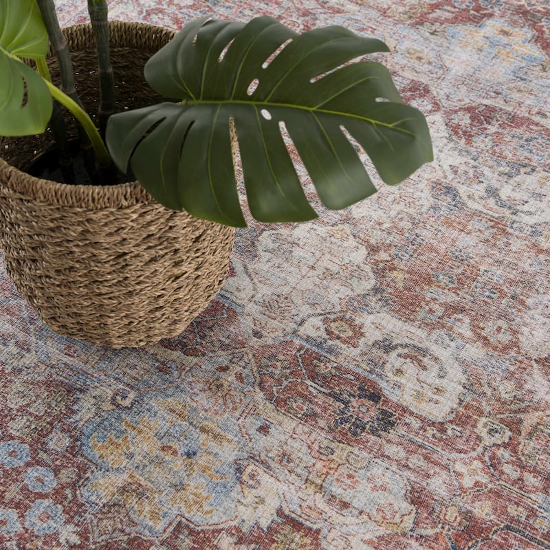 Hauteloom Georgia Machine Washable Persian Oriental Traditional Area Rug