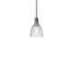 Option Oil Rubbed Bronze / Clear