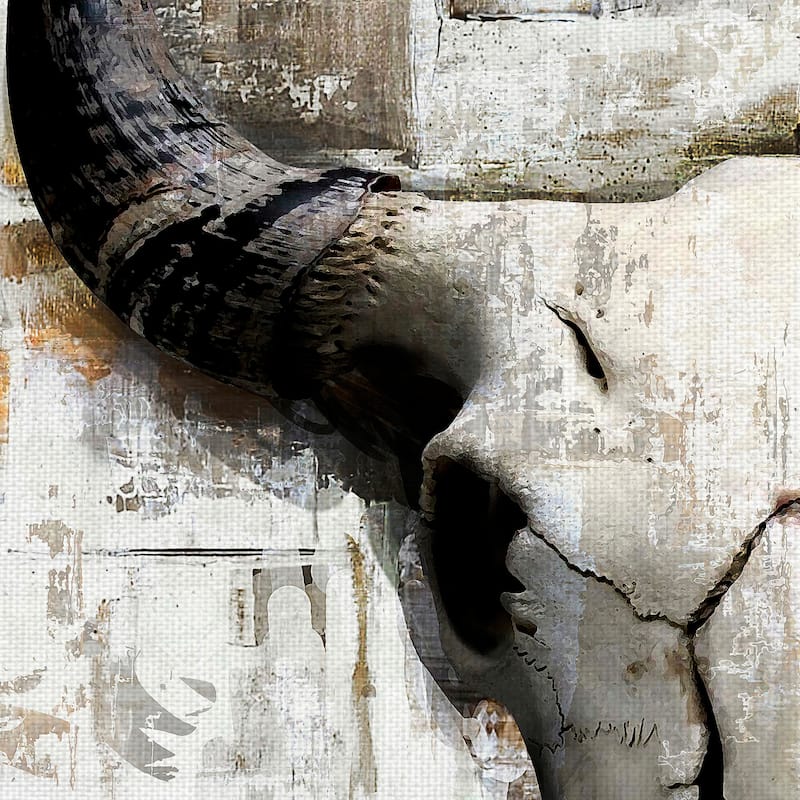White Cowskull by GraphINC Canvas Art Print
