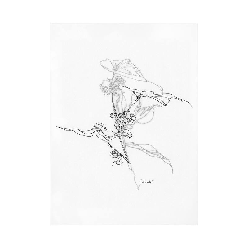 Arrangement III (44 x 60) Canvas Art Print - Large