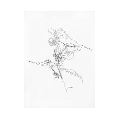 Arrangement III (44 x 60) Canvas Art Print