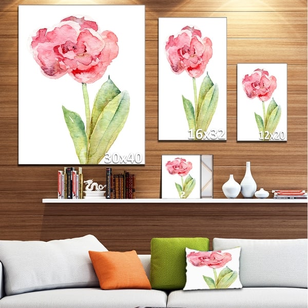 Designart "Single Pink Tulip on White Background" Flower Artwork on Canvas
