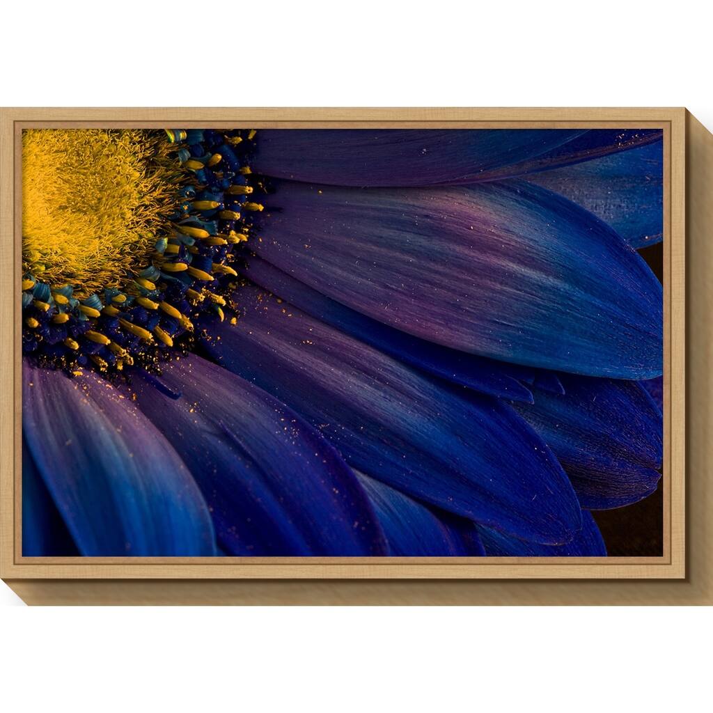 Canvas Art Framed 'Blue Rays' by Porsteinn H. Ingibergsson