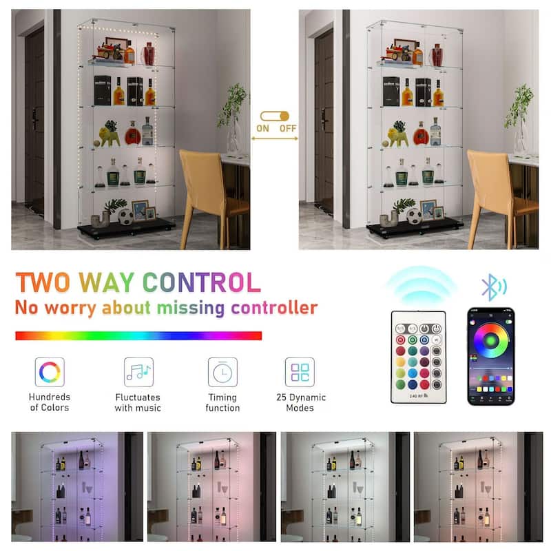 Tall Tempered Glass Storage Cabinet with Remote App LED Strip, Locking Door, Easy-Move Casters, Wine & File Display Case
