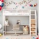 preview thumbnail 22 of 38, Twin Size Loft Bed With Desk,Lateral Storage Ladder and Wardrobe for Home