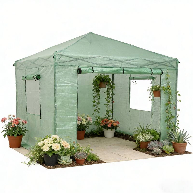 Ainfox 10X10FT Instant Pop-up Greenhouse, Walk-in Plant Gardening Green House - 10 x 10