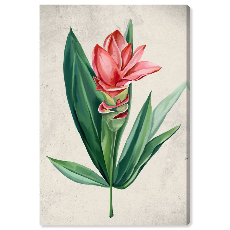 Wynwood Studio Canvas Floral and Botanical Blossoming Floral Red and Traditional Wall Art Canvas Print