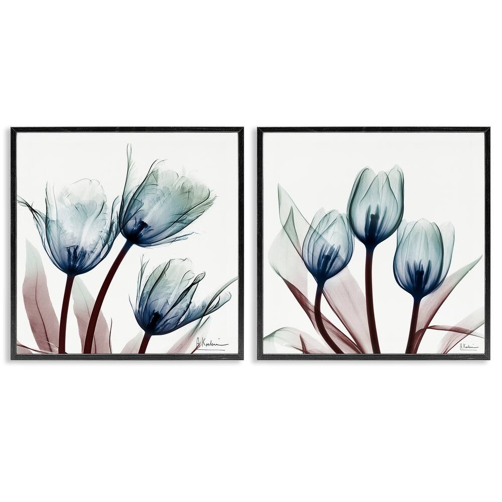Stupell Vibrant Blue Tulips Framed Giclee Art Design By Albert Koetsier (Set of 2)