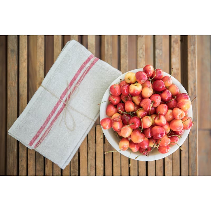 Caravan Vintage Napkins - Set of 4