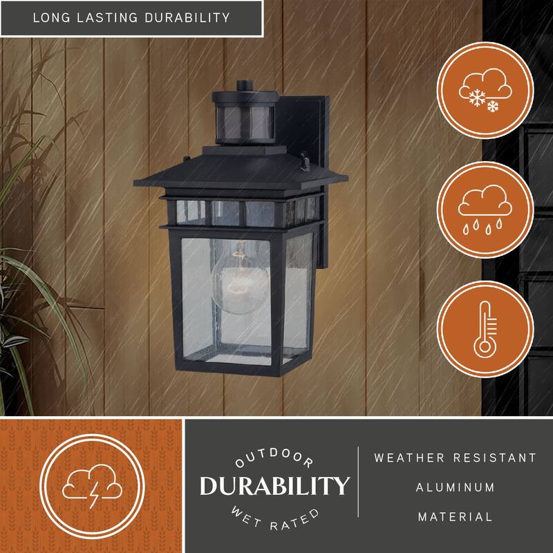 Vaxcel Lighting T0728 Ridge 11" Tall Outdoor Wall Sconce with Seedy
