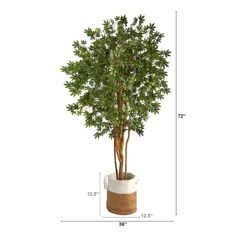 6ft Artificial Maple Tree with Planter - City Chic Home Decor, Faux Tree for Living Room, Bedroom, Office