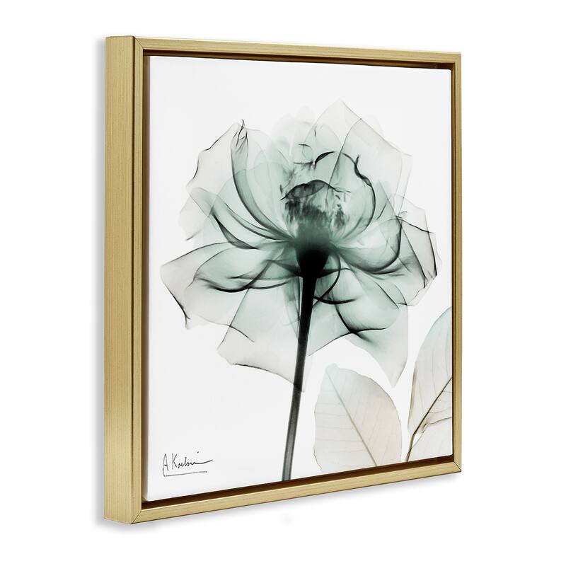 Stupell Transparent Flower Blossom Framed Floater Canvas Wall Art Design By Albert Koetsier