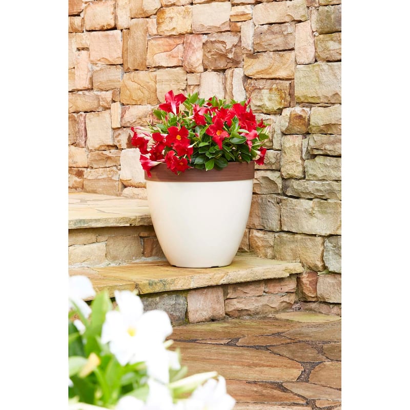 Southern Patio Hornsby Resin Planter