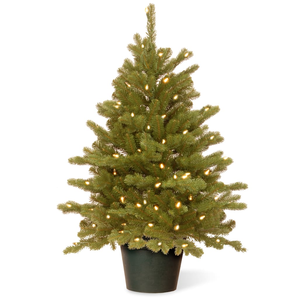 National Tree Company 3 ft. Hampton Spruce Green Holiday Tree with Clear LED Lights - 3 Foot