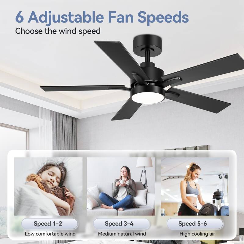42" Integrated Ceiling Fan with LED Light and Remote (5 Reversible Blades)