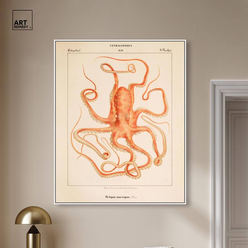 Verany The Octopus 1815 I Canvas by Art Remedy