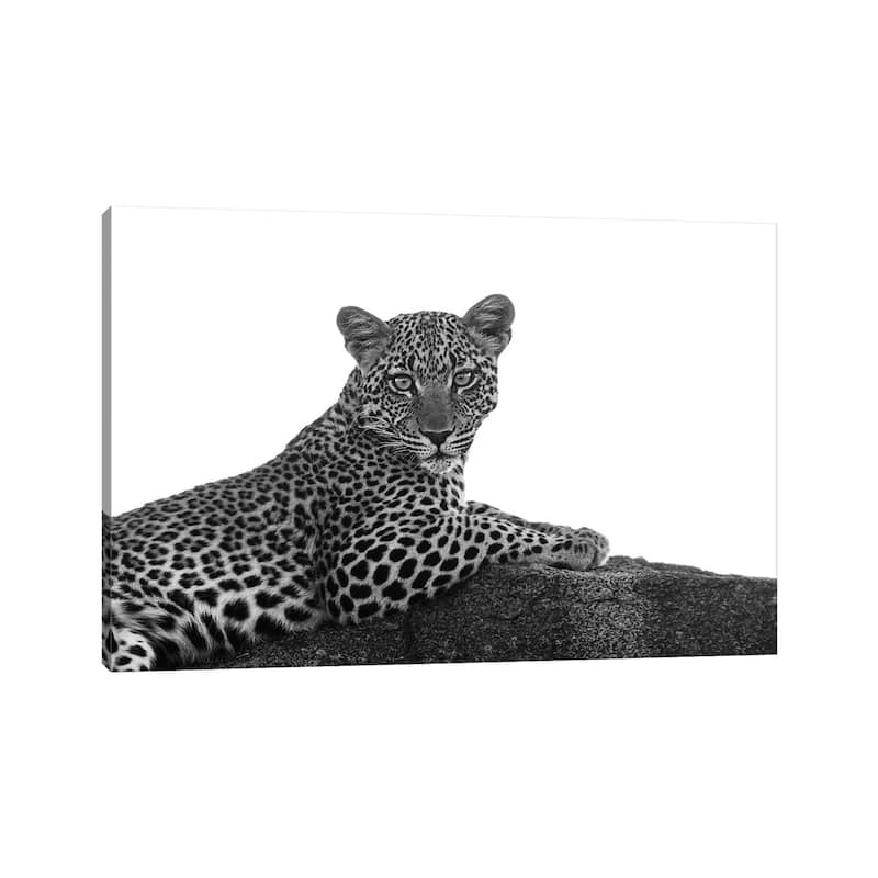 iCanvas "Leopard In Black & White" by Susan Michal Canvas Print