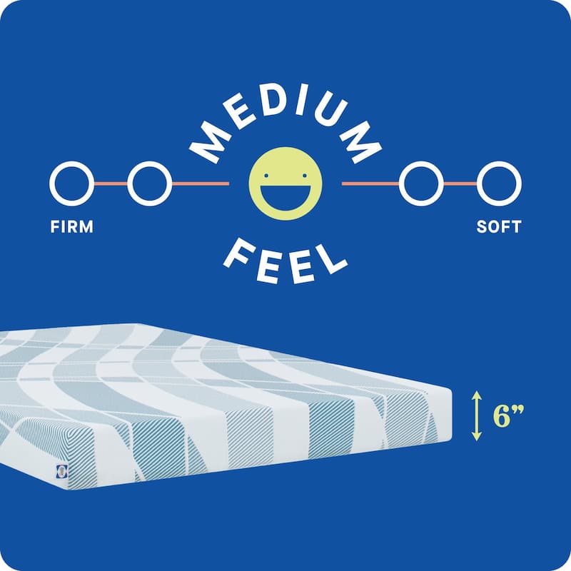 Sealy Dreamlife 6" Foam Mattress-in-a-Box