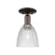 Option Oil Rubbed Bronze / Clear