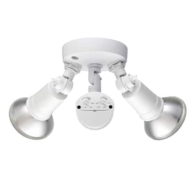 Millennium Lighting M-16002 Double Light 11-1/4" Wide Outdoor Flood