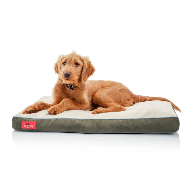 Brindle Memory Foam Dog Bed with Removable Washable Cover - Extra Small - Khaki