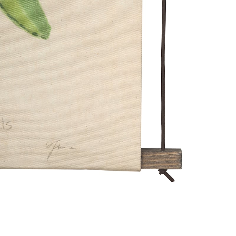 Botanical Study-Prunus Padus