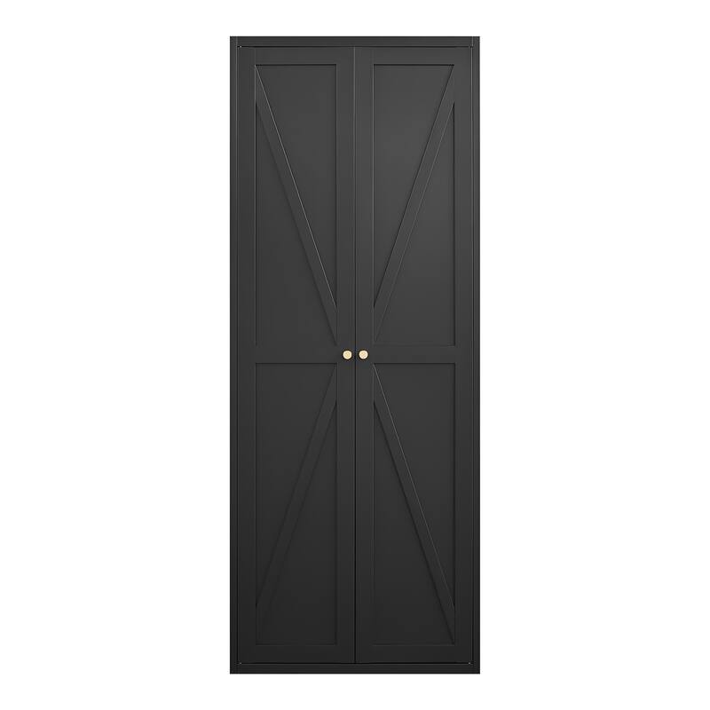 2 Doors Metal Storage Cabinet Kitchen Pantry Cabinet With Adjustable Shelves Tall Steel Cabinet Locker