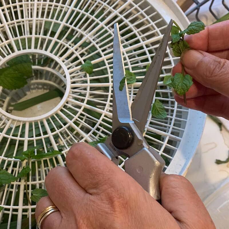 Kings County Tools Flower Pruning Shears Garden Scissors