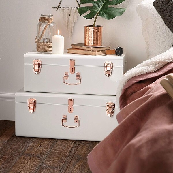 Zanzer Set of 2 Storage Trunks - Bed Bath & Beyond - 39213546