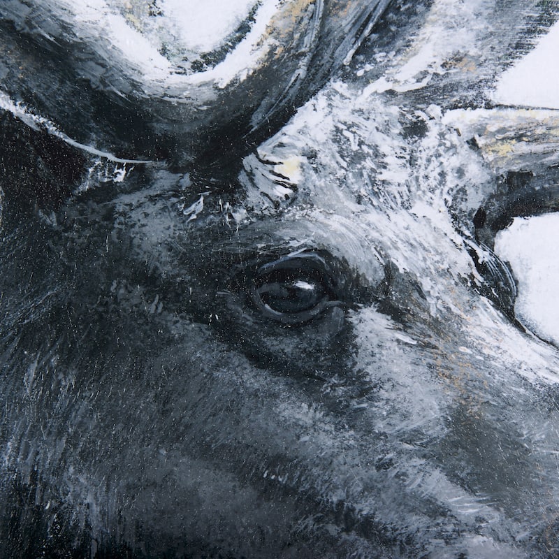 Animal Portrait I (Moose) Framed Art Print