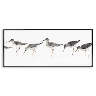 Stupell Sandpipers Framed Wall Art