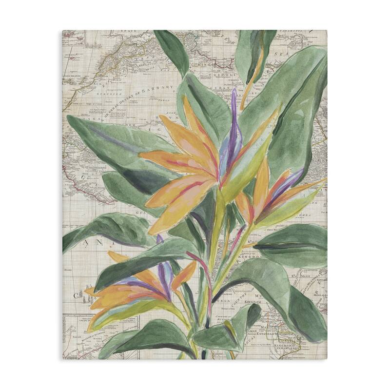 Stupell Tropical Flower over Map Canvas Wall Art Design By June Erica Vess - 24 x 30