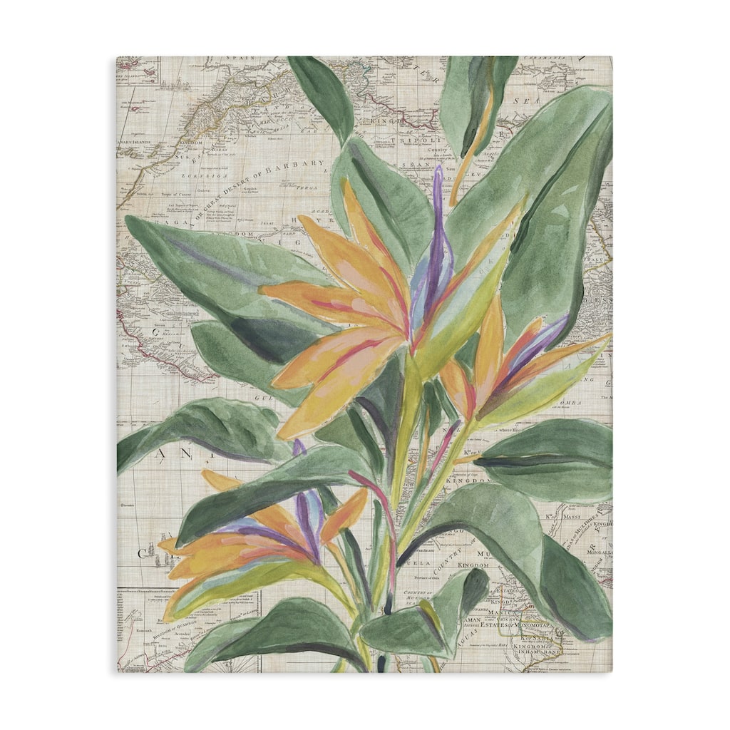 Stupell Tropical Flower over Map Canvas Wall Art Design By June Erica Vess