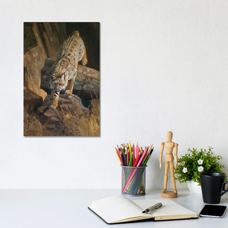 iCanvas "Lynx" by Grant Hacking Canvas Print - 12x8x0.75