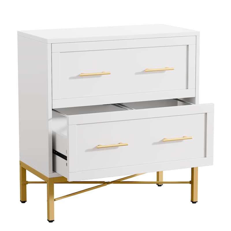 2 Drawer Lateral Filing Cabinet, Modern File Cabinet Printer Stand, Large Storage Cabinets for Letter/Legal/A4 Size, White