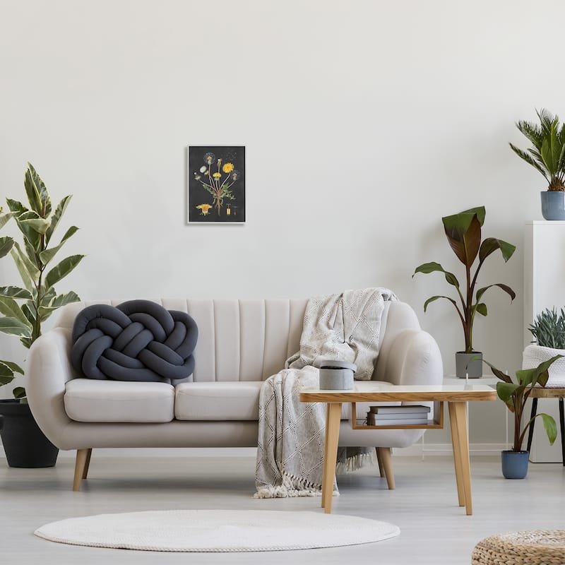 Stupell Botanical Drawing Dandelion On Black Design Framed Wall Art, Design By Artist Lettered and Lined - Multi-Color