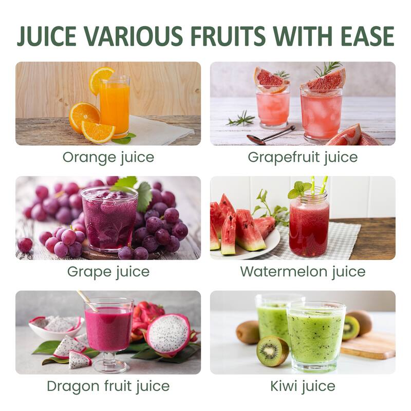 Electric Citrus Juicer