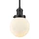 Option Oil Rubbed Bronze / Matte White Cased