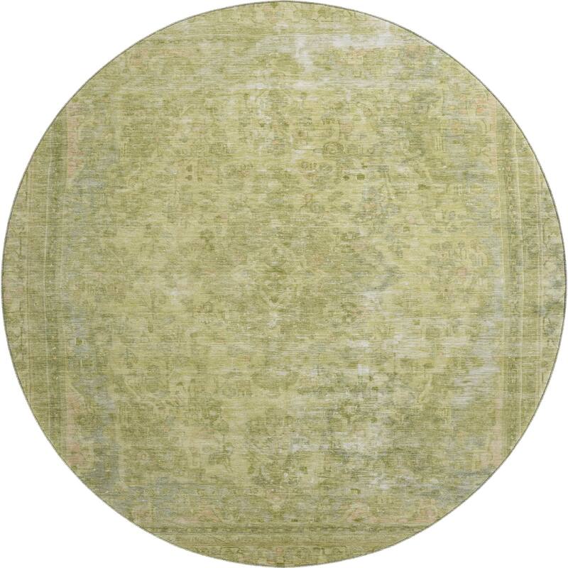 Premium Washable Super Soft Vintage Traditional Mayfield Rug