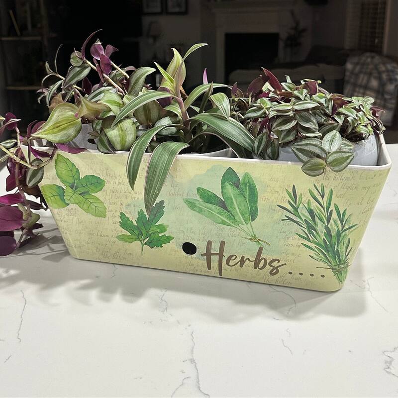 16" Rectangular Indoor/Outdoor Self-Watering Bamboo Planters - Herbs