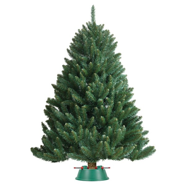 wide christmas tree