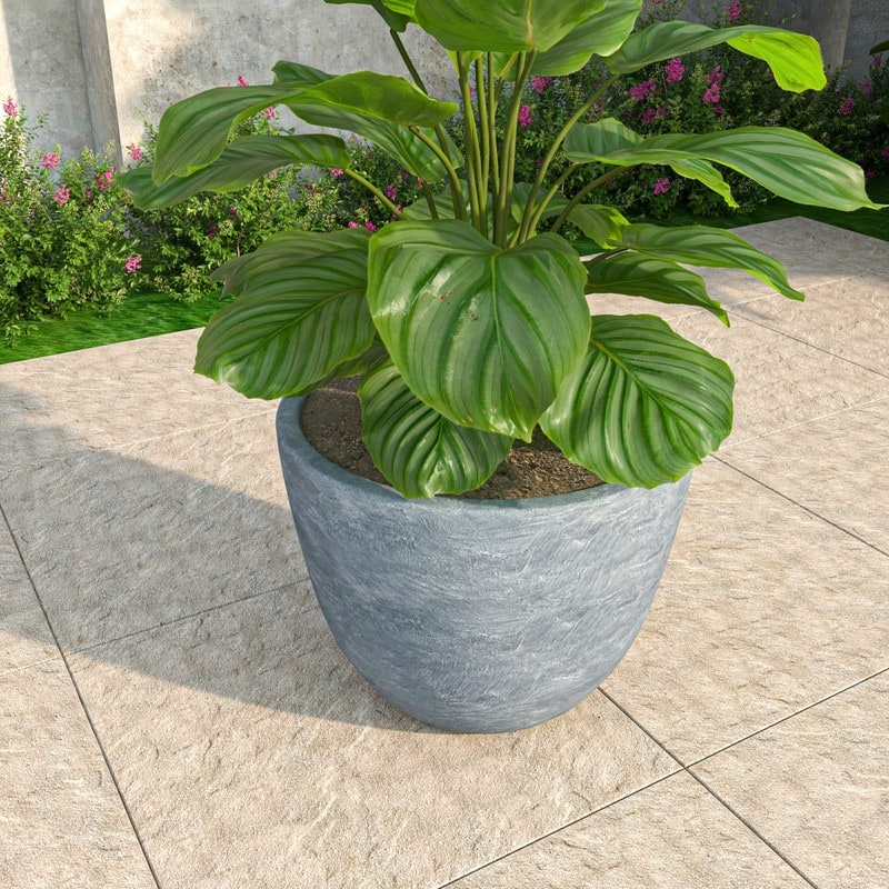 Dahlia Tapered Round Planter Pot in Fiberstone MGO Clay with Drainage for Indoor Outdoor Patio Balcony, Garden, or Living Room - Medium - Aged Concrete