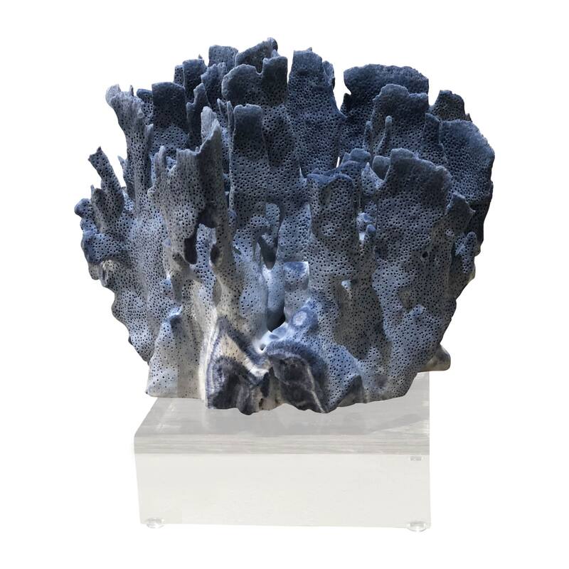 Blue Coral 10-12 Inch On Acrylic Base