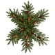 preview thumbnail 1 of 1, 30" Pre-Lit Snowflake Dunhill Fir Wreath with Pinecones and 40 Lights - Green - 30