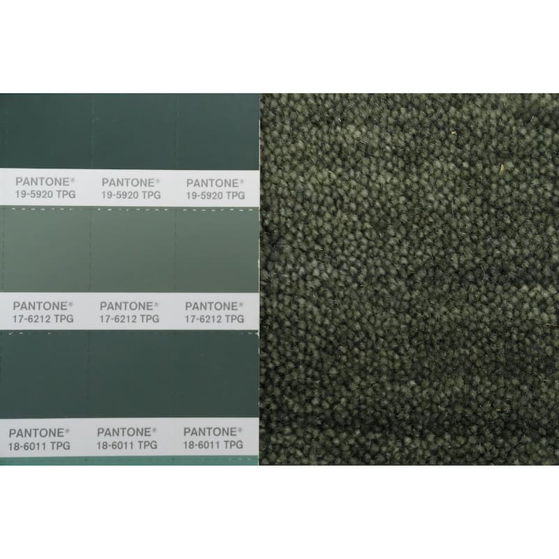 Hand Knotted Oriental 100% Wool Carpet Tribal Animal Pictorial Green Gabbeh Area Rug - 12' 1'' X 4' 11''