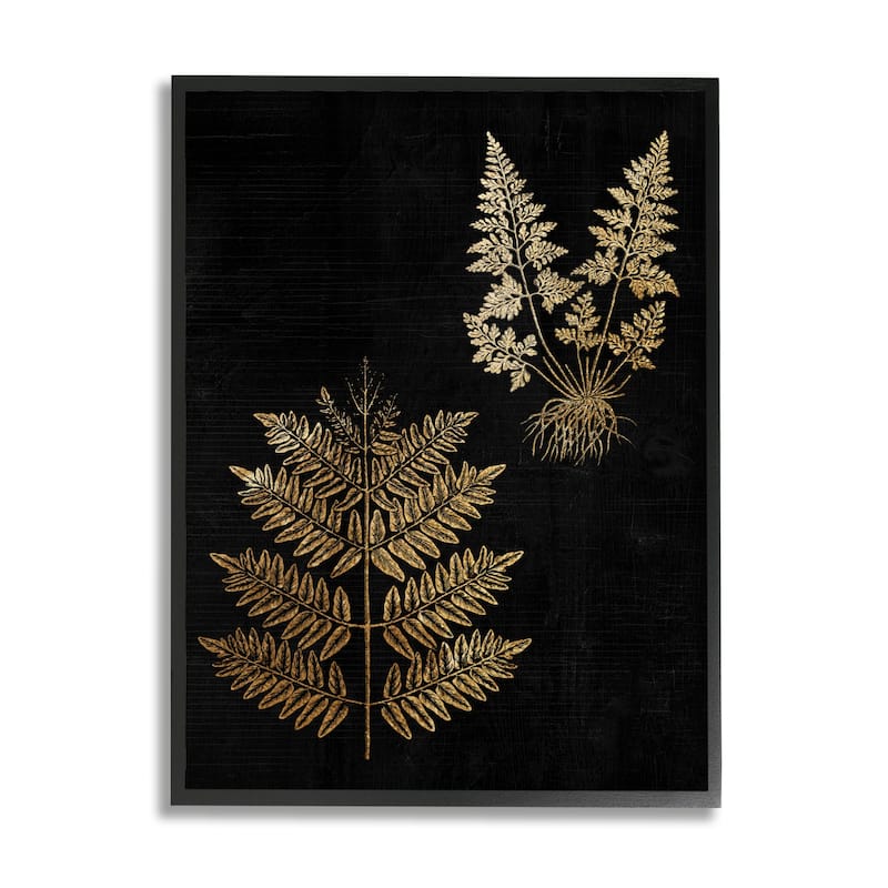Stupell Bold Fern Blade Illustration Rooted Forest Floor Plants Framed Wall Art - 11 x 14 - Black