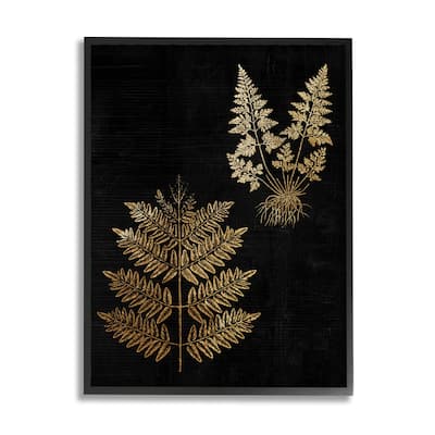 Stupell Bold Fern Blade Illustration Rooted Forest Floor Plants Framed Wall Art