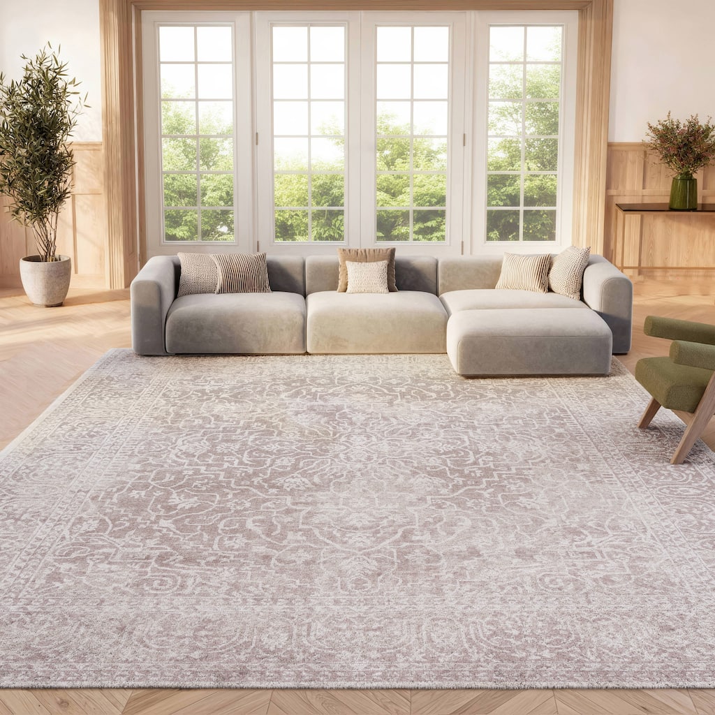 SAFAVIEH Reflection Elzada Oriental Rug